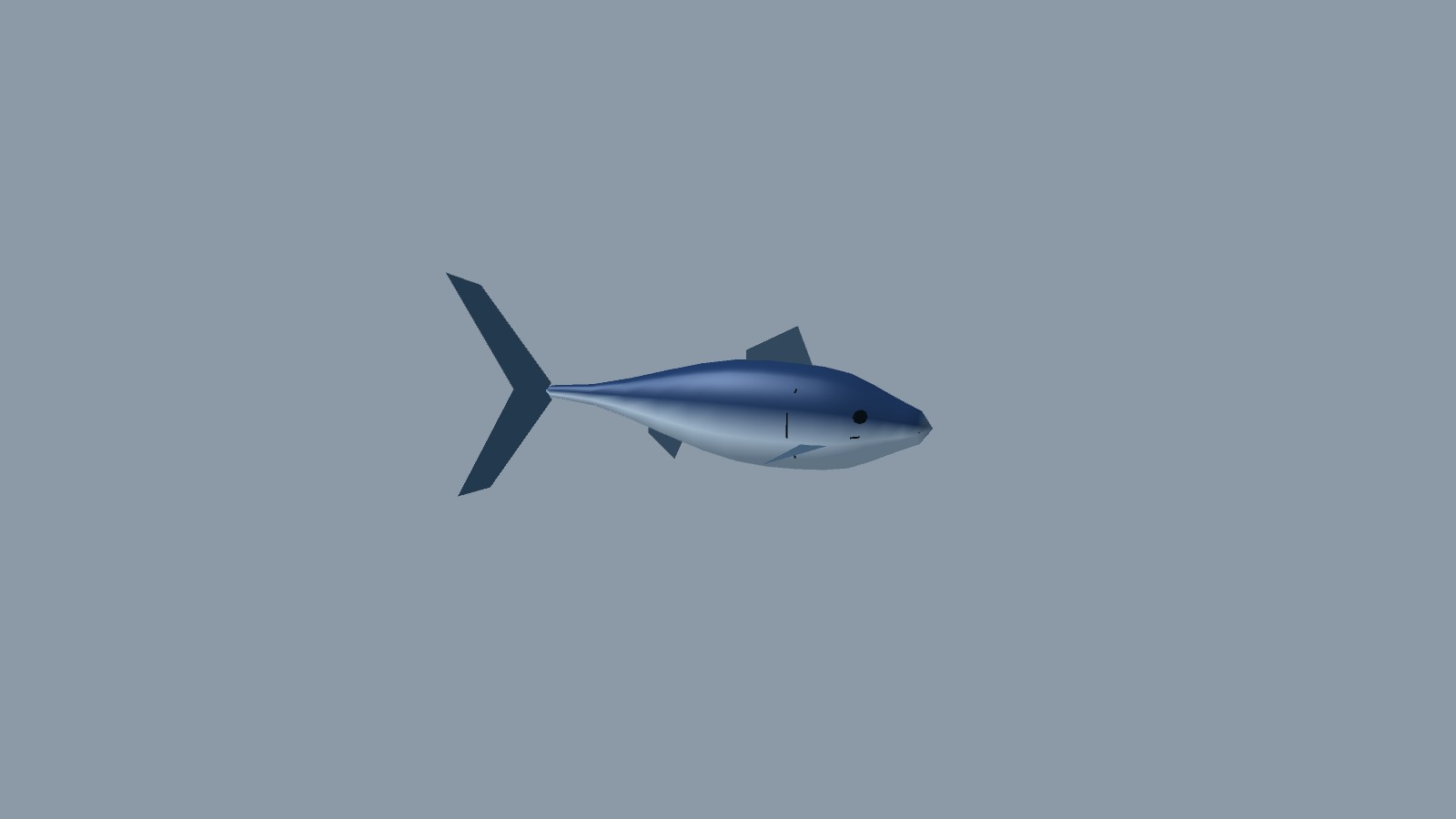 クロマグロの頭部