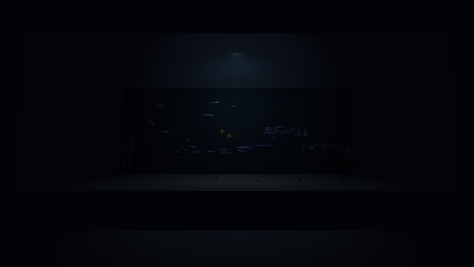 夜の大型水槽